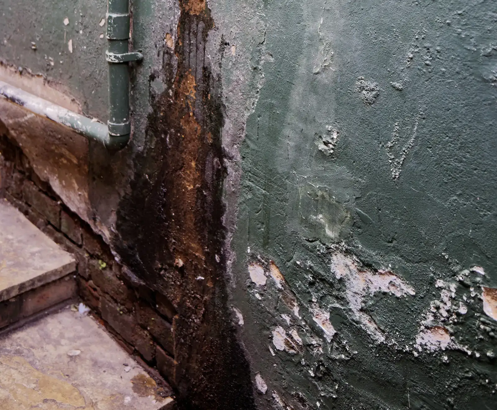 #11 - Water Damage a Previous Owner Tried to Hide (Image Credits: Wikimedia)