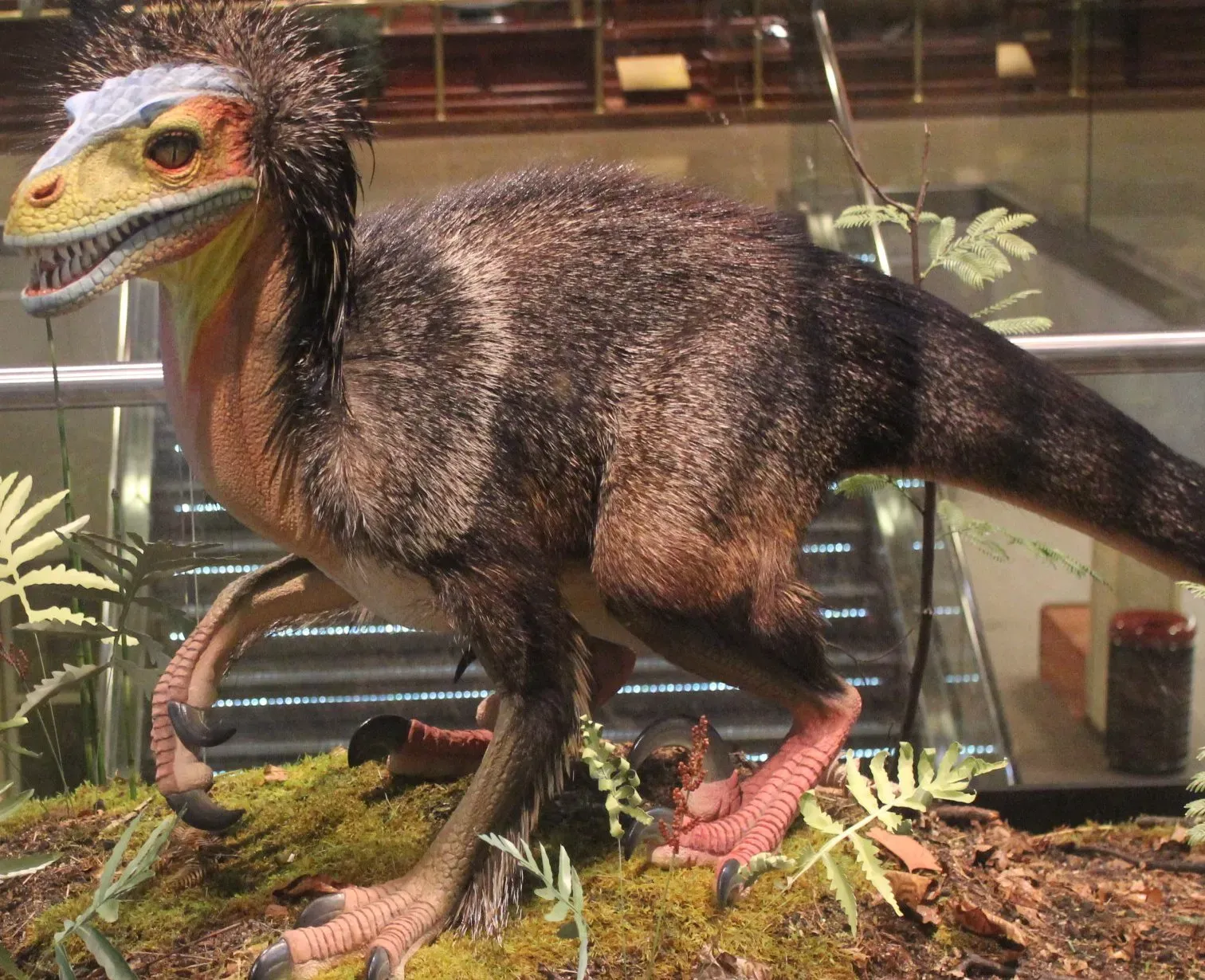 Tool Use and Cultural Transmission (Image Credits: Wikimedia)