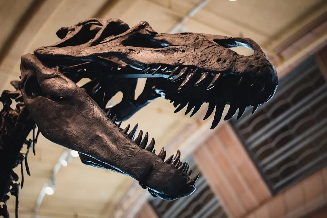 #5 - The "Out-Of-Place" Mammal Living Under Dinosaur Feet (Image Credits: Unsplash)