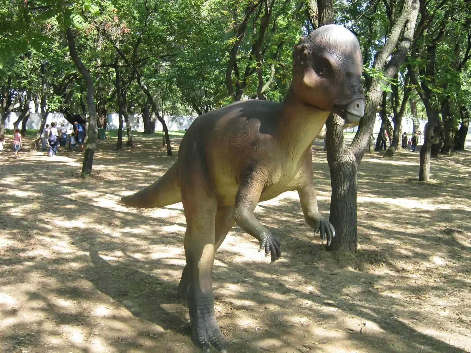 Capricorn - The Rugged Survivor: Pachycephalosaurus (By Boris Dimitrov, CC BY-SA 3.0)