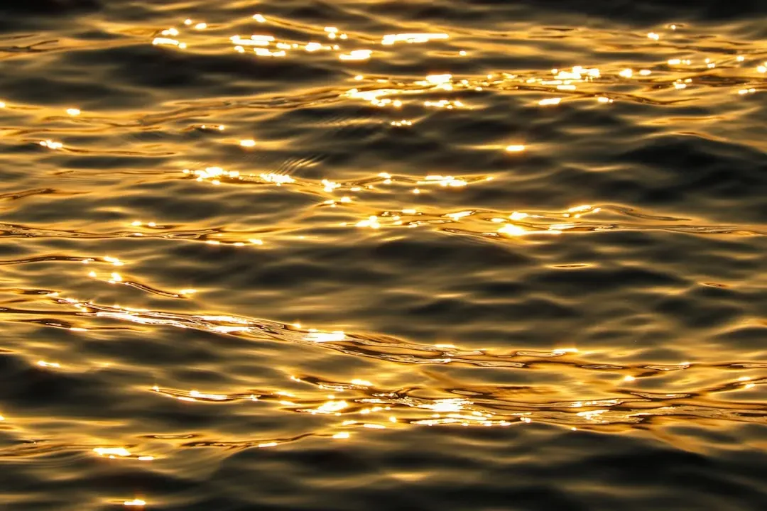 Leo: Glistening Gold Royalty (Image Credits: Unsplash)