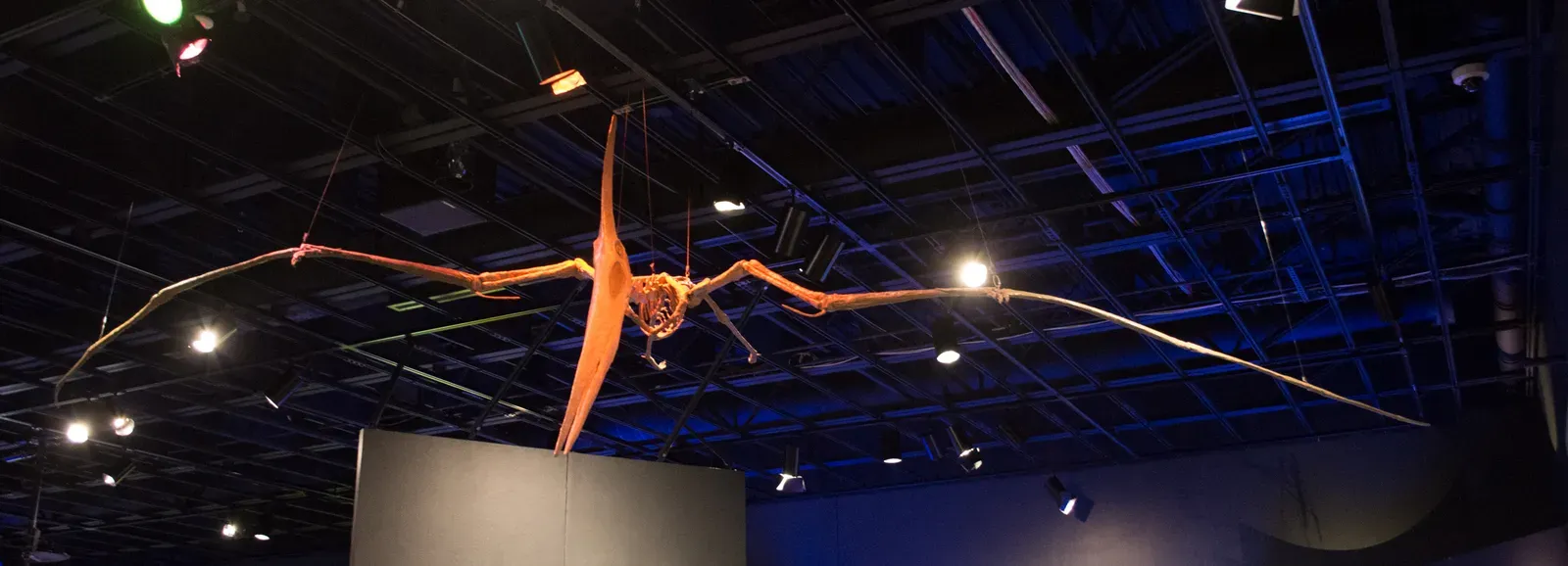 Native Americans and the Sky-Dominating Thunderbird (Pteranodon longiceps - Pterosaurs Flight in the Age of Dinosaurs, CC BY-SA 2.0)