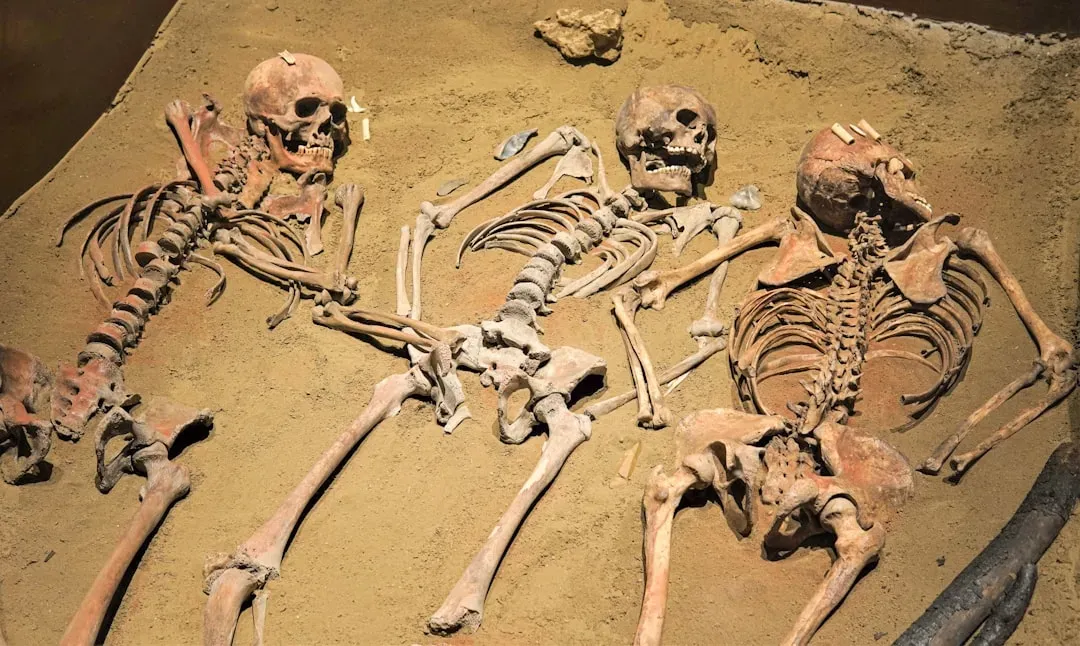 #6 - Three Bodies, One Grave, and No Agreement on Why (Image Credits: Unsplash)