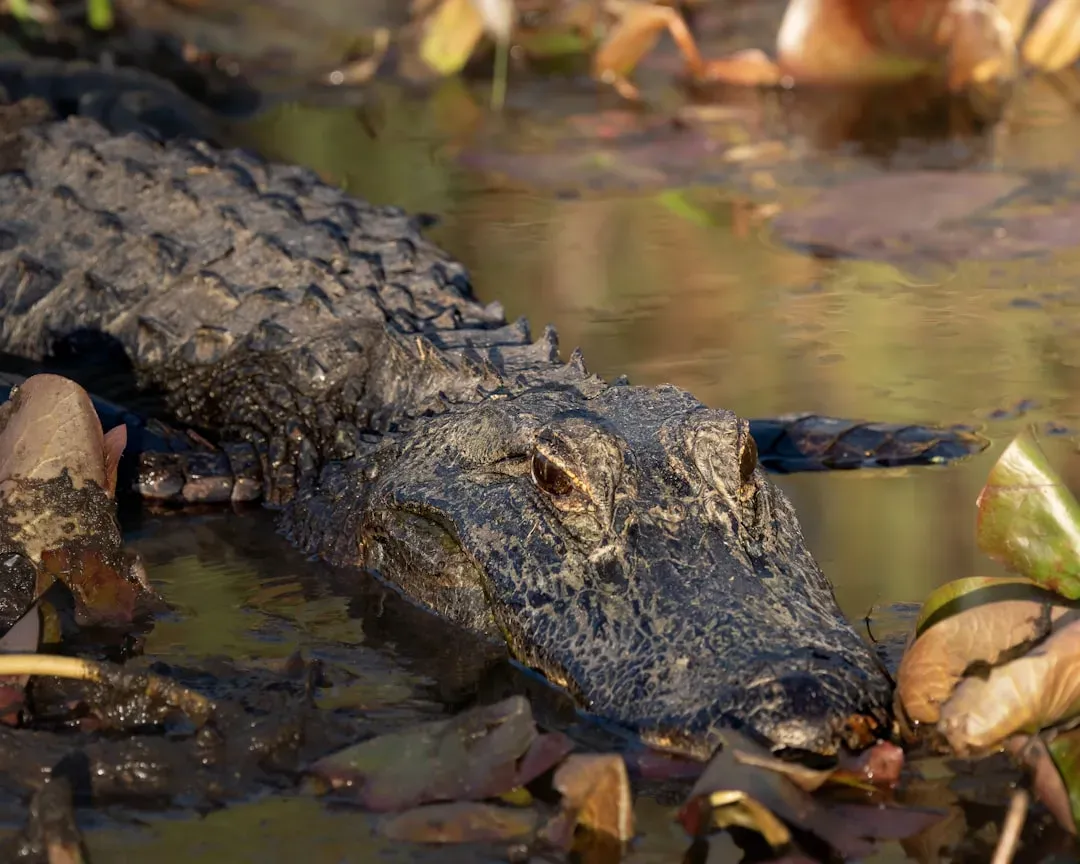 8. Not Everything Died: The Surprising Survivors (Image Credits: Unsplash)