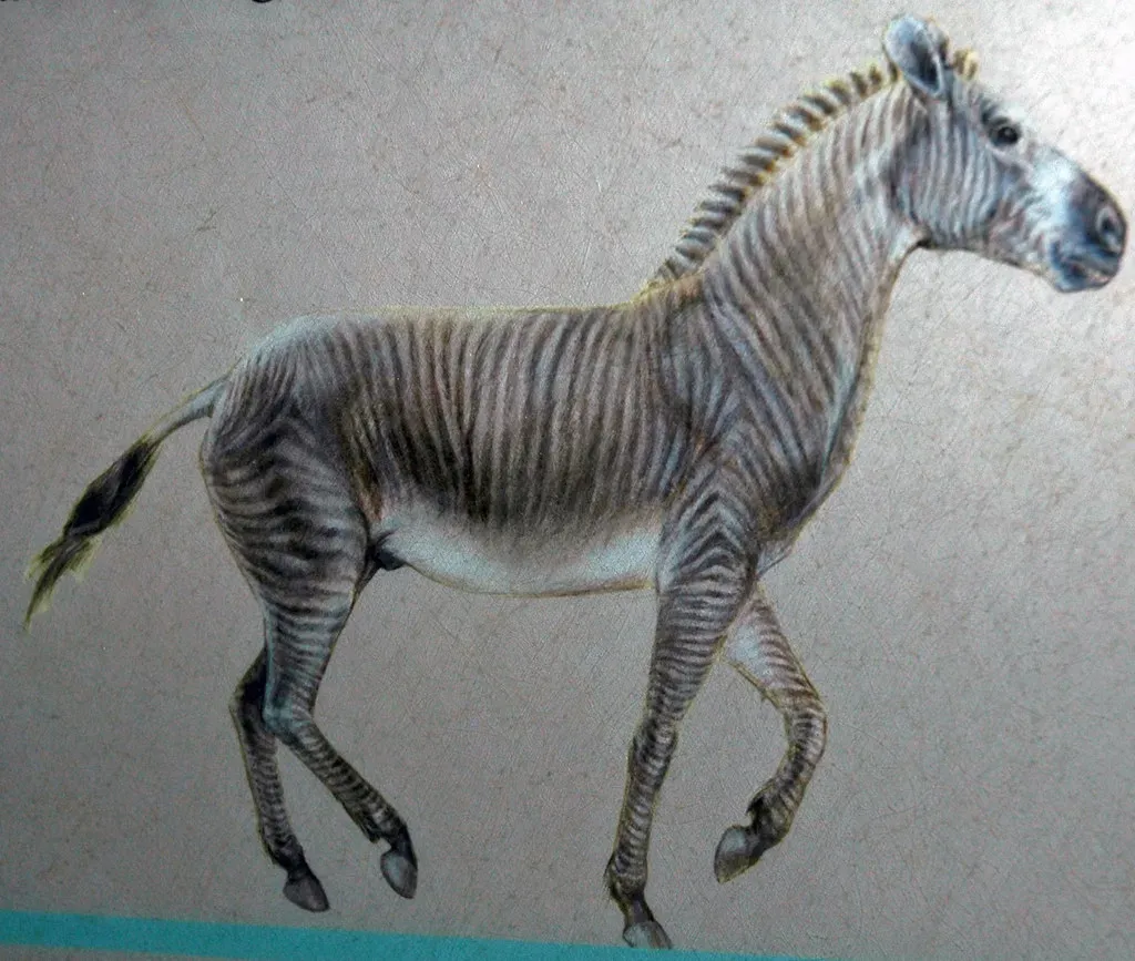 The American Zebra: Prehistoric Horses You Never Learned About (Image Credits: Flickr)