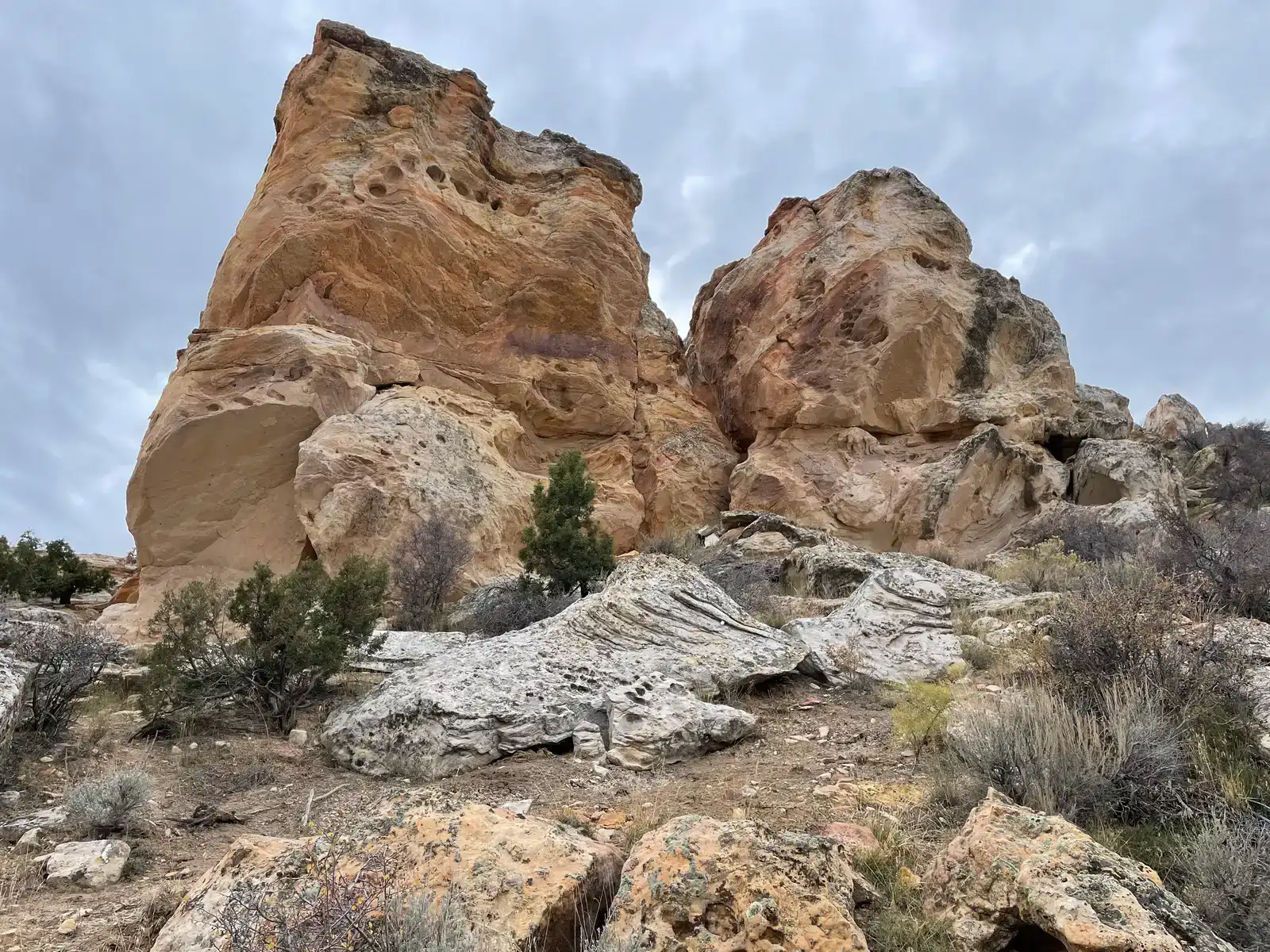 Dinosaur National Monument: Where the Jurassic Is Still Embedded in the Wall (Image Credits: Wikimedia)