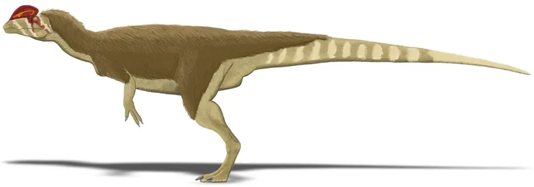 Dilophosaurus: Double Trouble (Image Credits: Wikimedia)