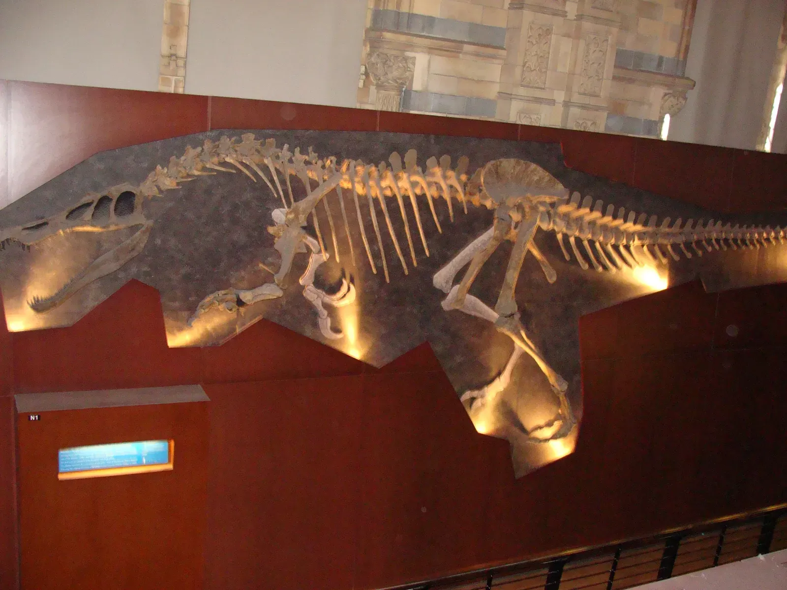 3. Fossil Evidence Shows It Really Did Eat Fish (And Not Just Occasionally) (By Fernando Losada Rodríguez, CC BY-SA 4.0)