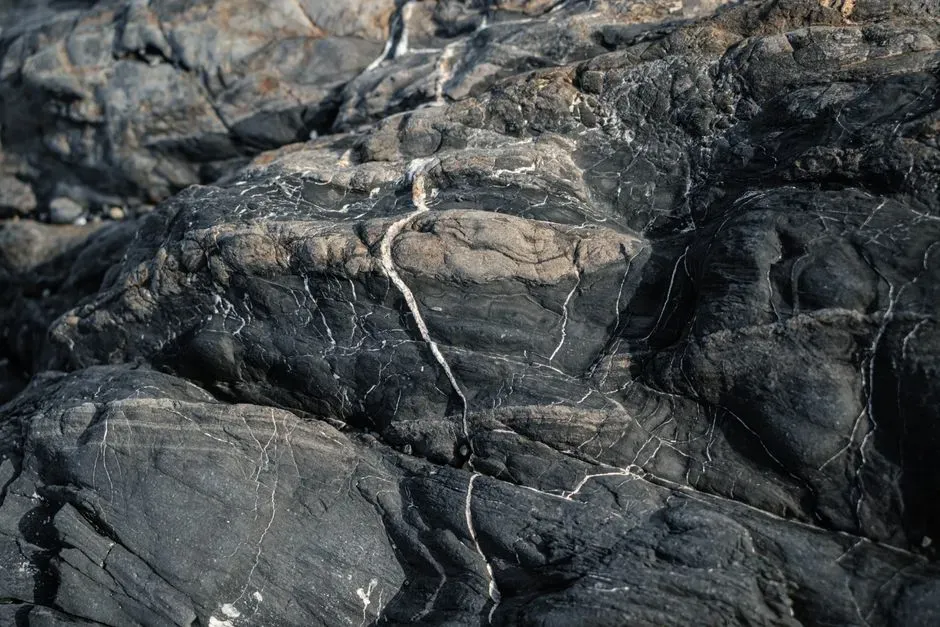 Igneous and Metamorphic “Basement” Rocks: The Immortal Skeleton of Continents (Image Credits: Pexels)
