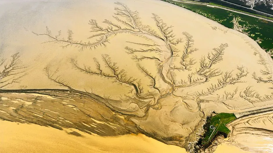 A river world in the desert: what the ancient landscape really looked like (Image Credits: Pexels)