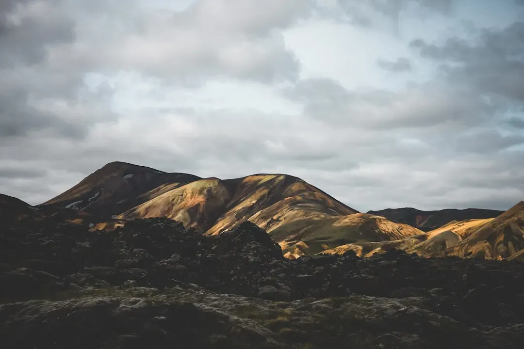 From Bright Cretaceous Skies to a Long, Dim “Impact Winter” (Image Credits: Unsplash)