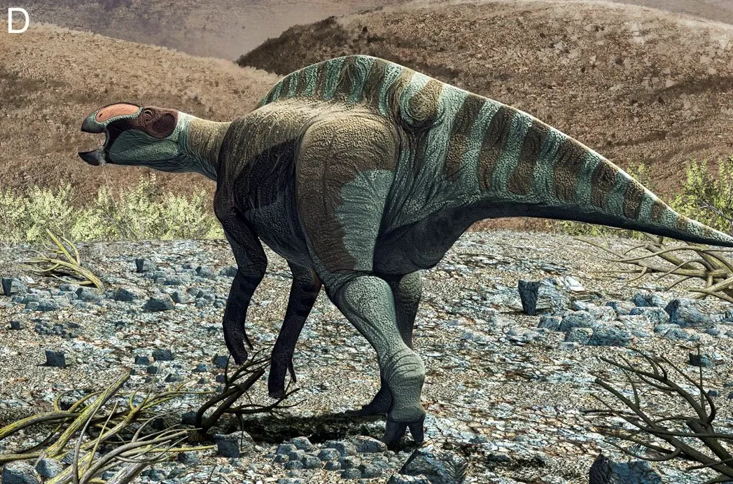 1. Regulating Body Temperature Like Living Thermostats (By Román García Moran, CC BY-SA 4.0)