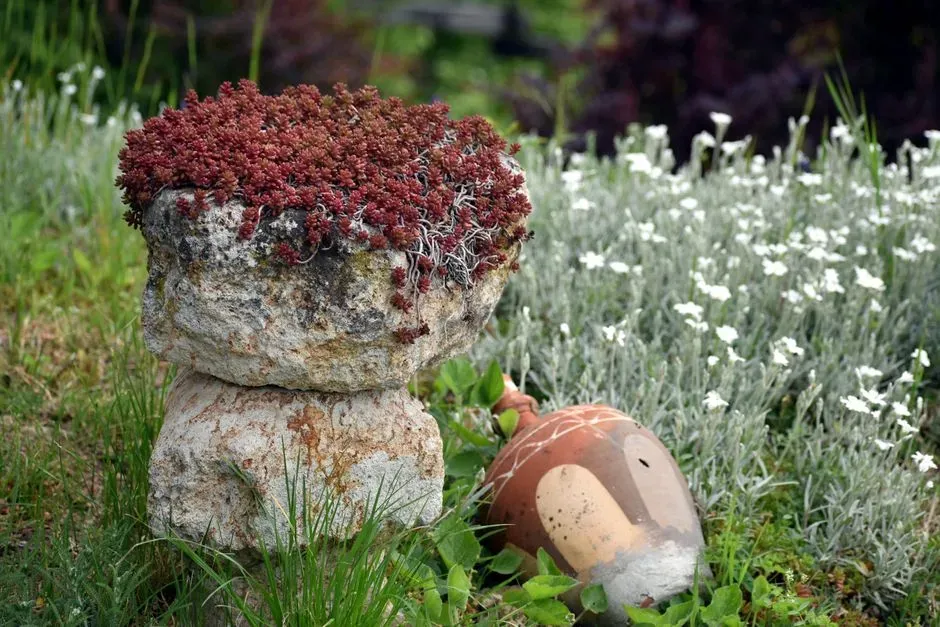 Conclusion: Rocks Put Us in Our Place - and That’s a Good Thing (Image Credits: Pexels)
