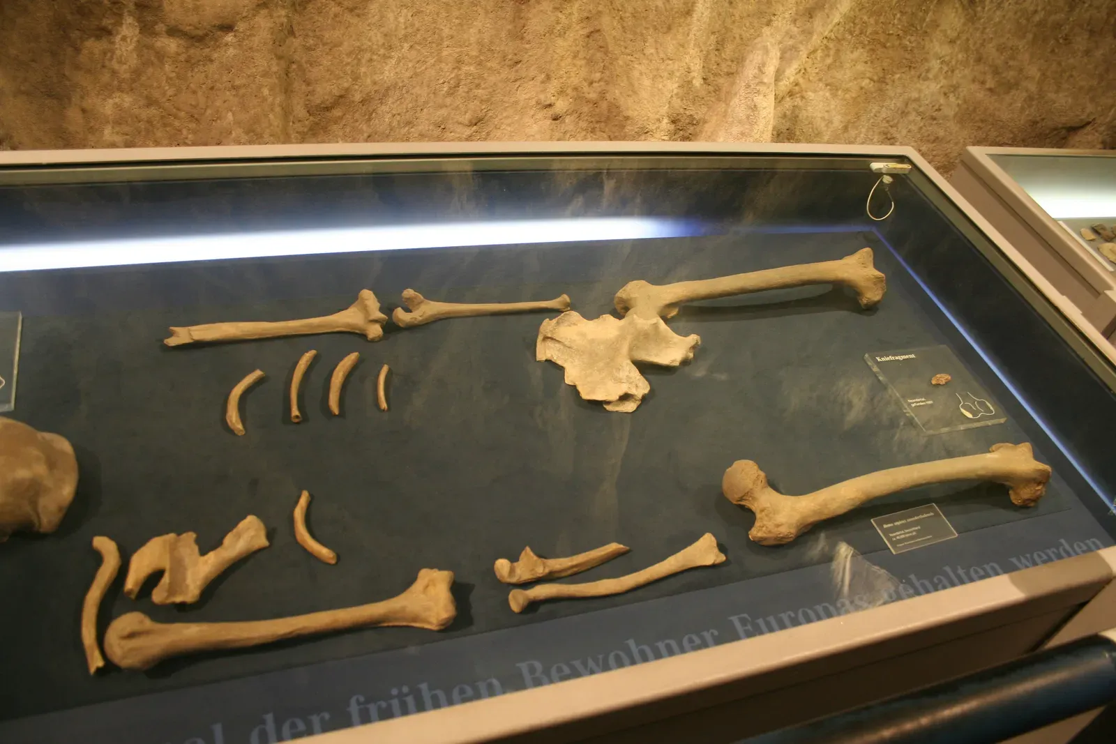 3. The first Neanderthal skeleton spotted in a Belgian cave wall (By Einsamer Schütze, CC BY-SA 4.0)