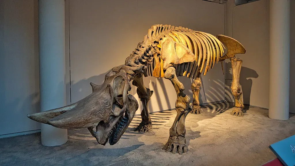 Conclusion: Echoes of a Lost World (Image Credits: Flickr)