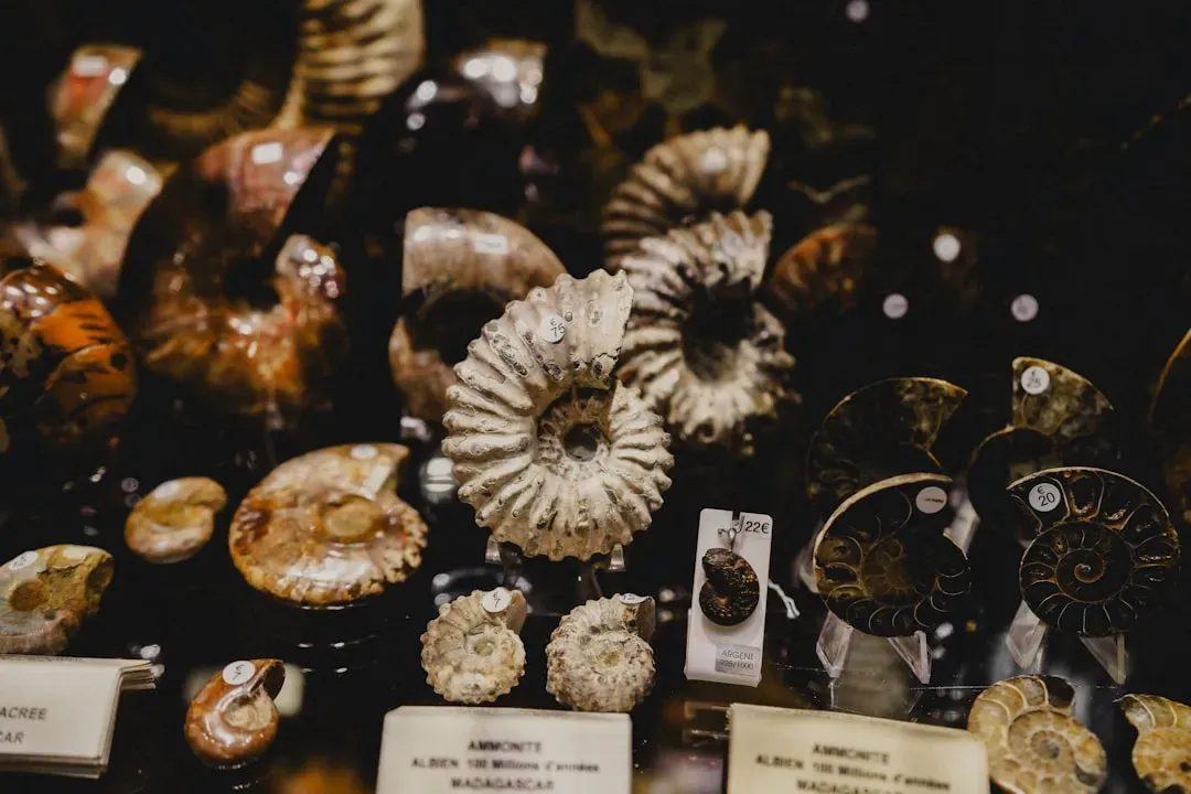 Ethics, Black Markets, and the Cost of Late Recognition (Image Credits: Unsplash)