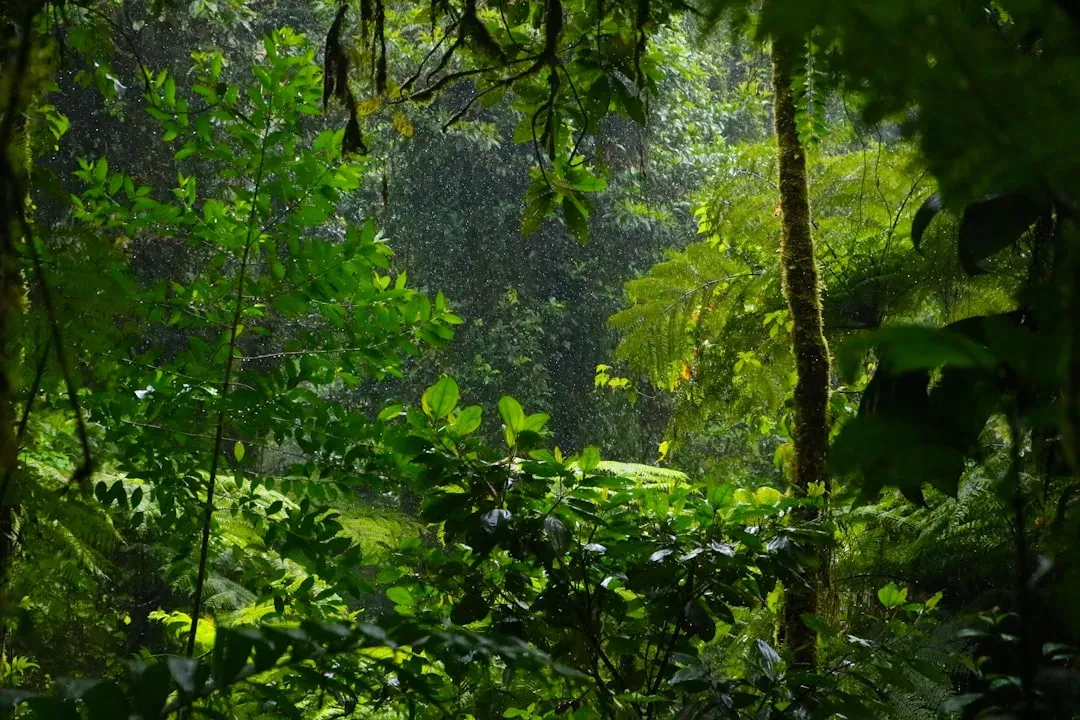 Evolutionary Echoes: Why Rain Once Meant Safety (Image Credits: Unsplash)