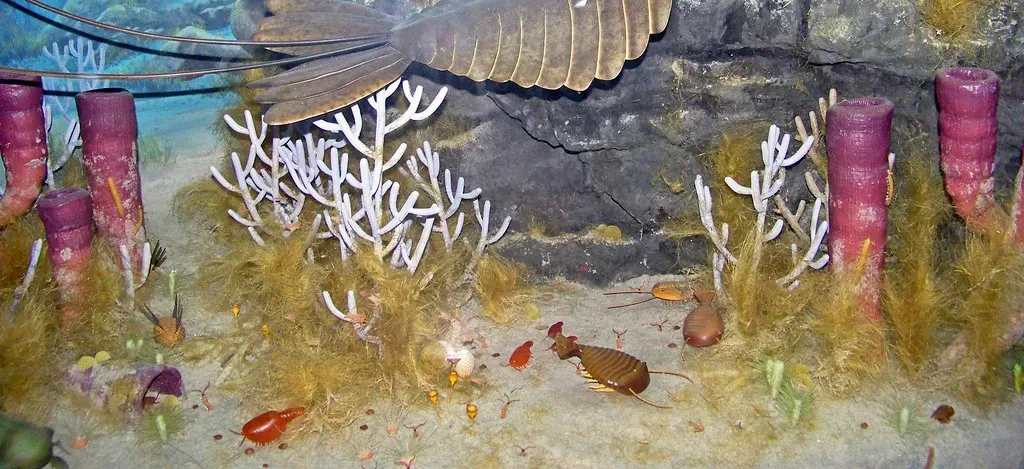 The Cambrian substrate and oxygen revolutions: When the seafloor got dangerous (James St. John, Flickr, CC BY 2.0)