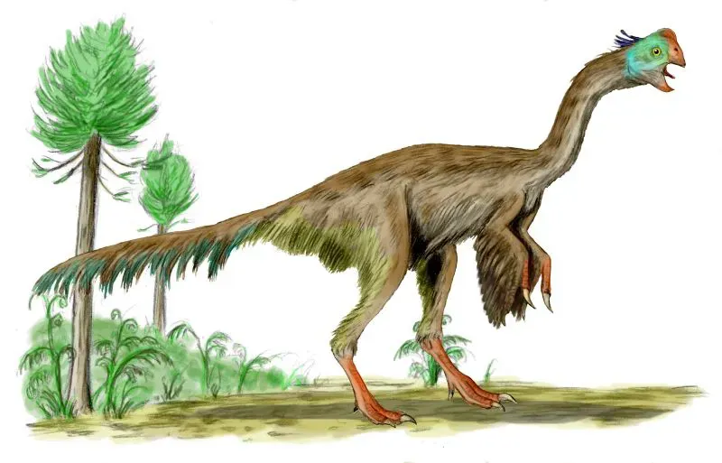 8. Gigantoraptor: The Giant Beaked “Bird-From-Space” ((http://spinops.blogspot.com), CC BY-SA 1.0)