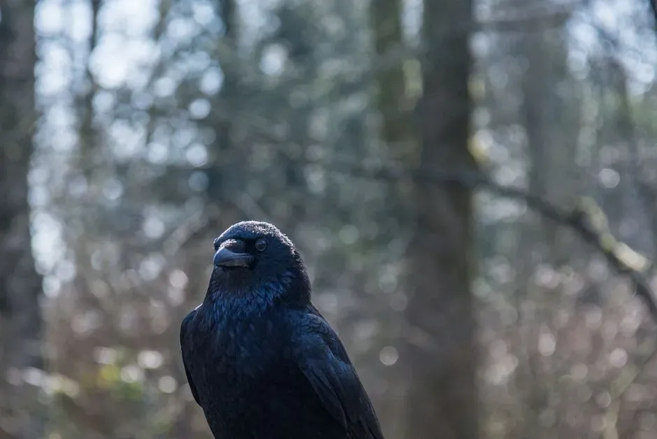 From birds and crocodiles to dinosaurs: what living relatives can do (Image Credits: Pexels)