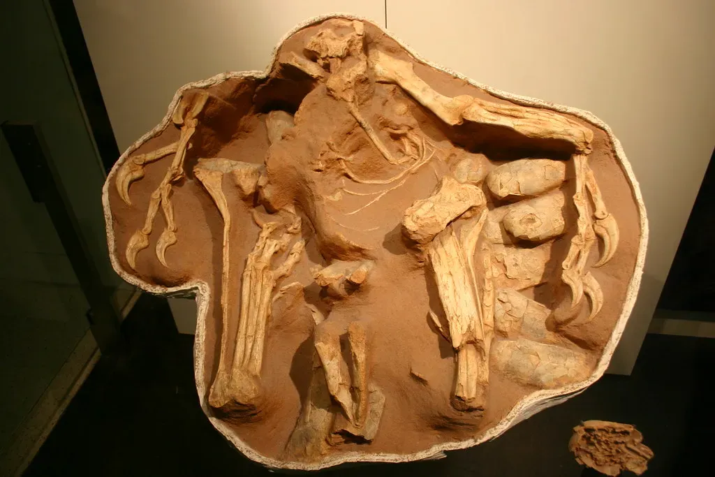 Brooding Behaviors Frozen in Time (Image Credits: Flickr)