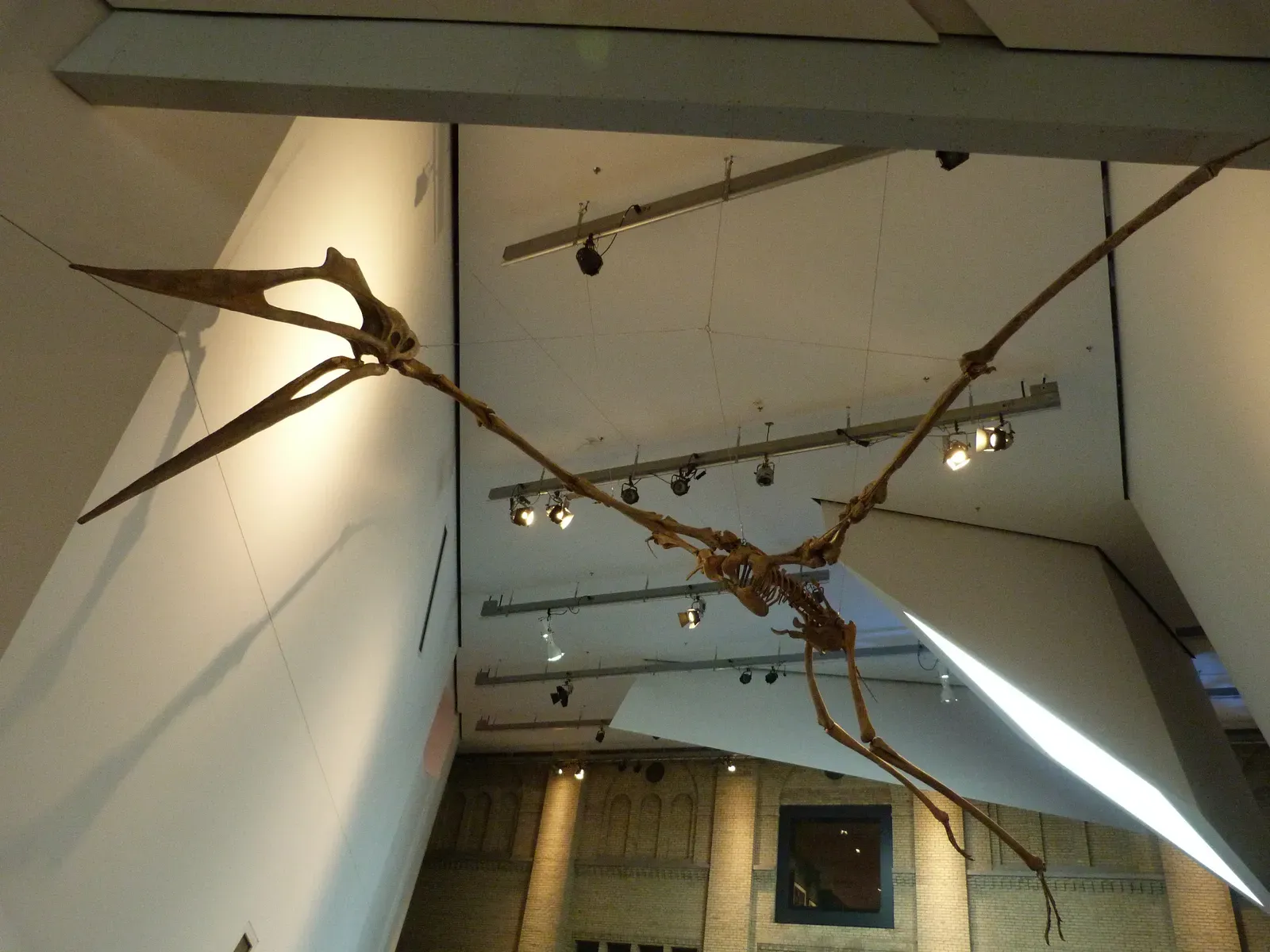 Fact 10: The Mass Extinction That Ended Their Reign Changed the Sky Forever (Quetzalcoatlus, CC BY 2.0)