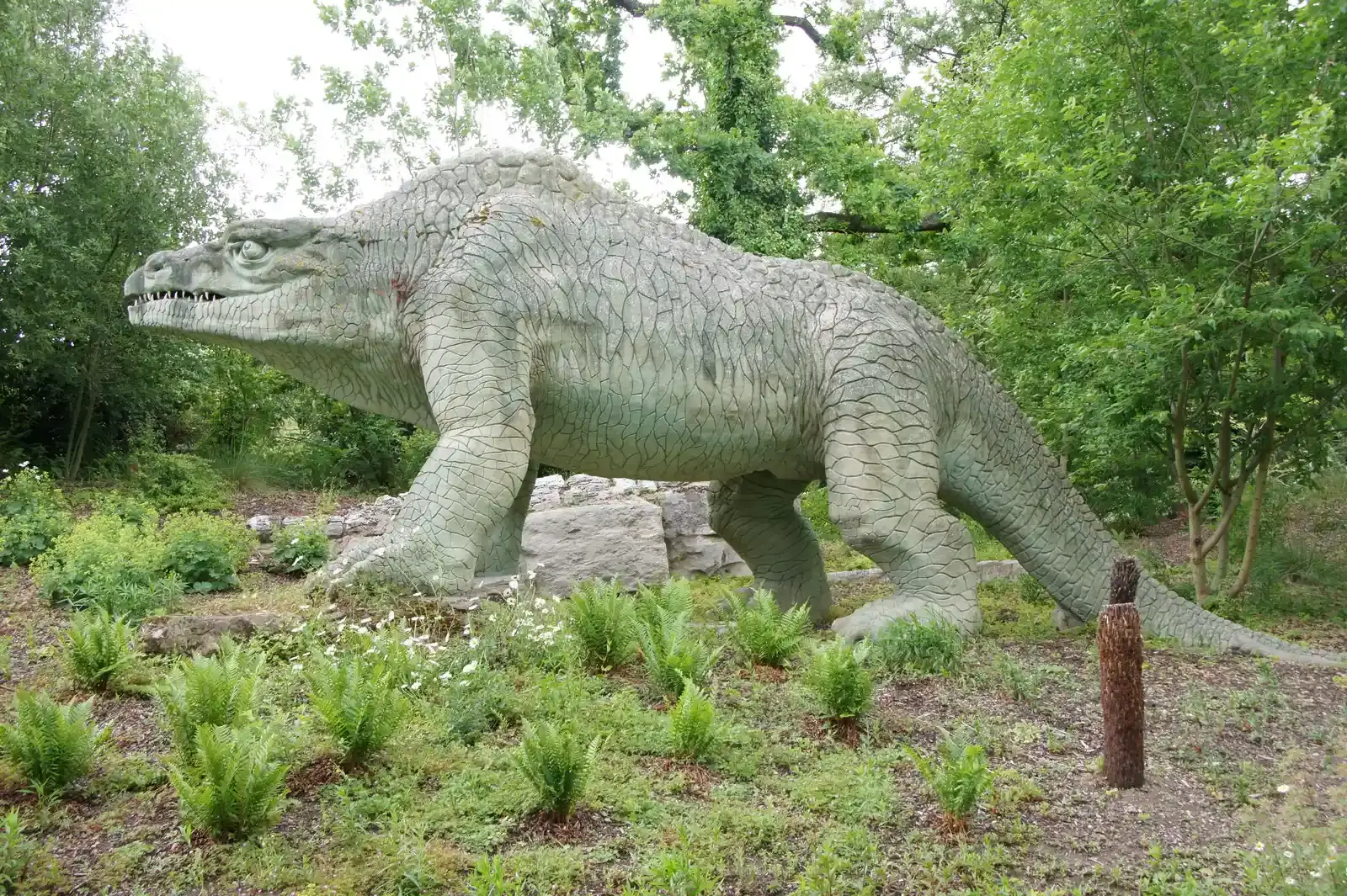 #8 - Megalosaurus Debuted as a Bulky, Lizard-Bodied Quadruped (220511-024 CPSUploaded by FunkMonk, CC BY 2.0)