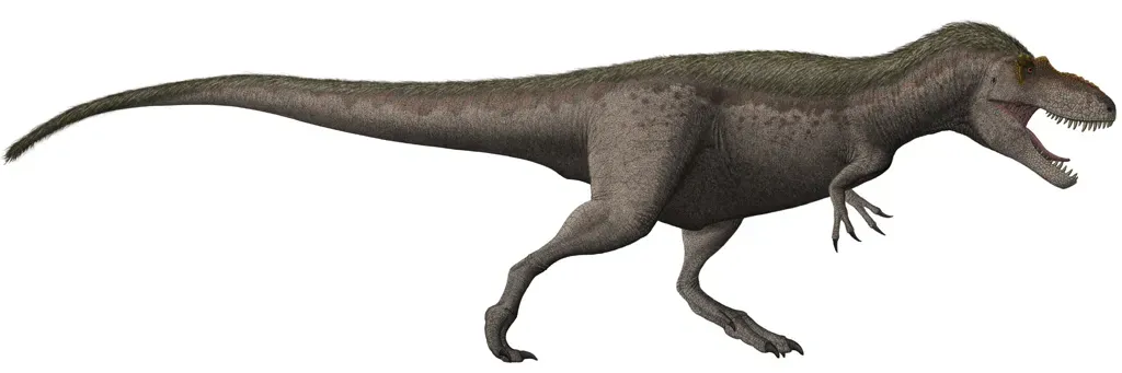 Daspletosaurus May Have Been a Direct Ancestor Walking in a Straight Evolutionary Line (Image Credits: Wikimedia)