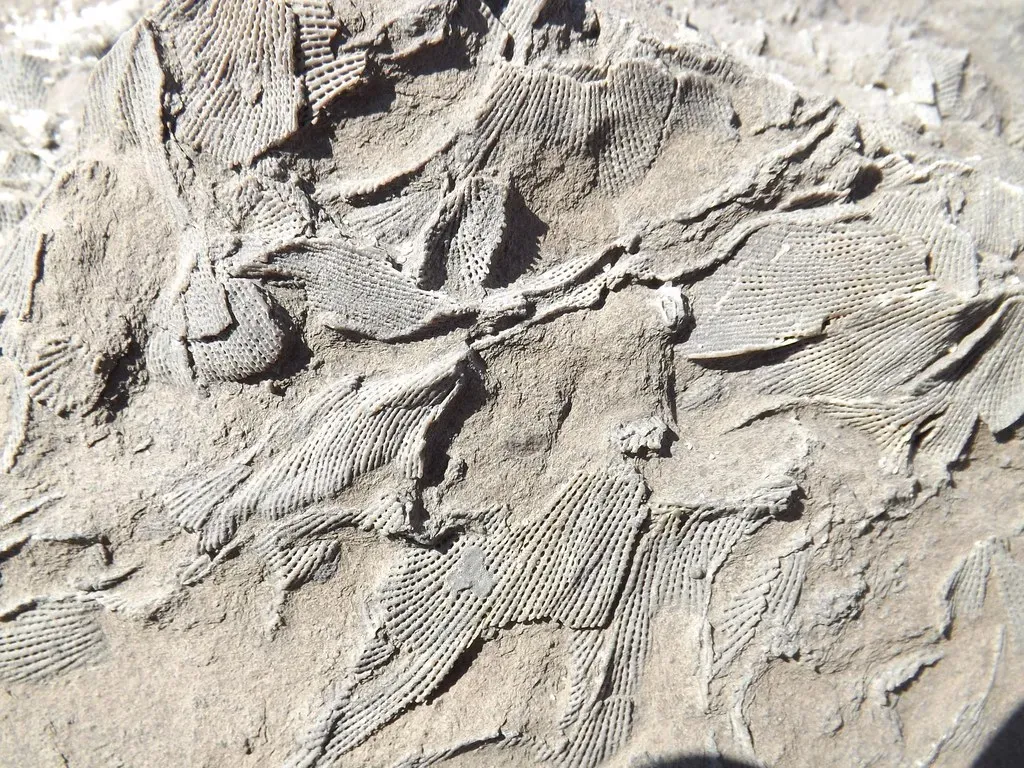 The Truth Keeps Evolving With Each Discovery (Image Credits: Flickr)