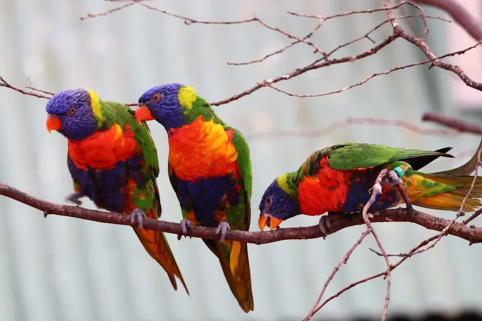 Lessons From Living Birds: What They Teach You About Dinosaur Color (Image Credits: Pexels)