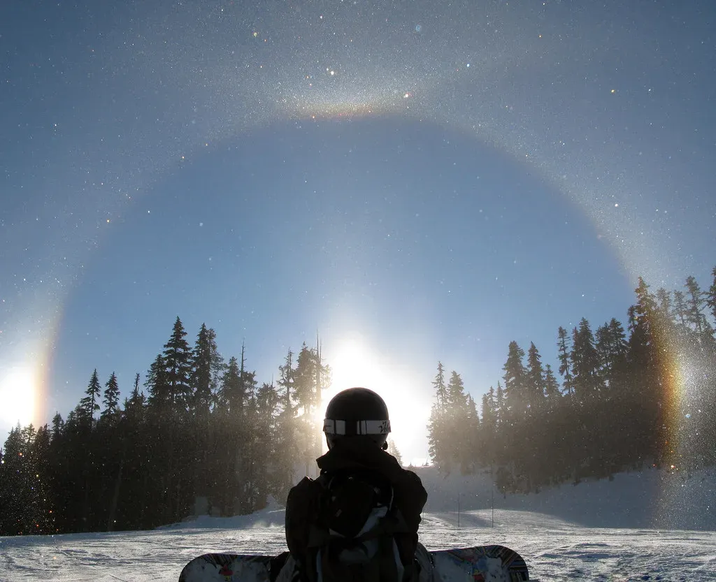 7. Halo Effect: When One Good Thing Makes Everything Shine (Image Credits: Flickr)