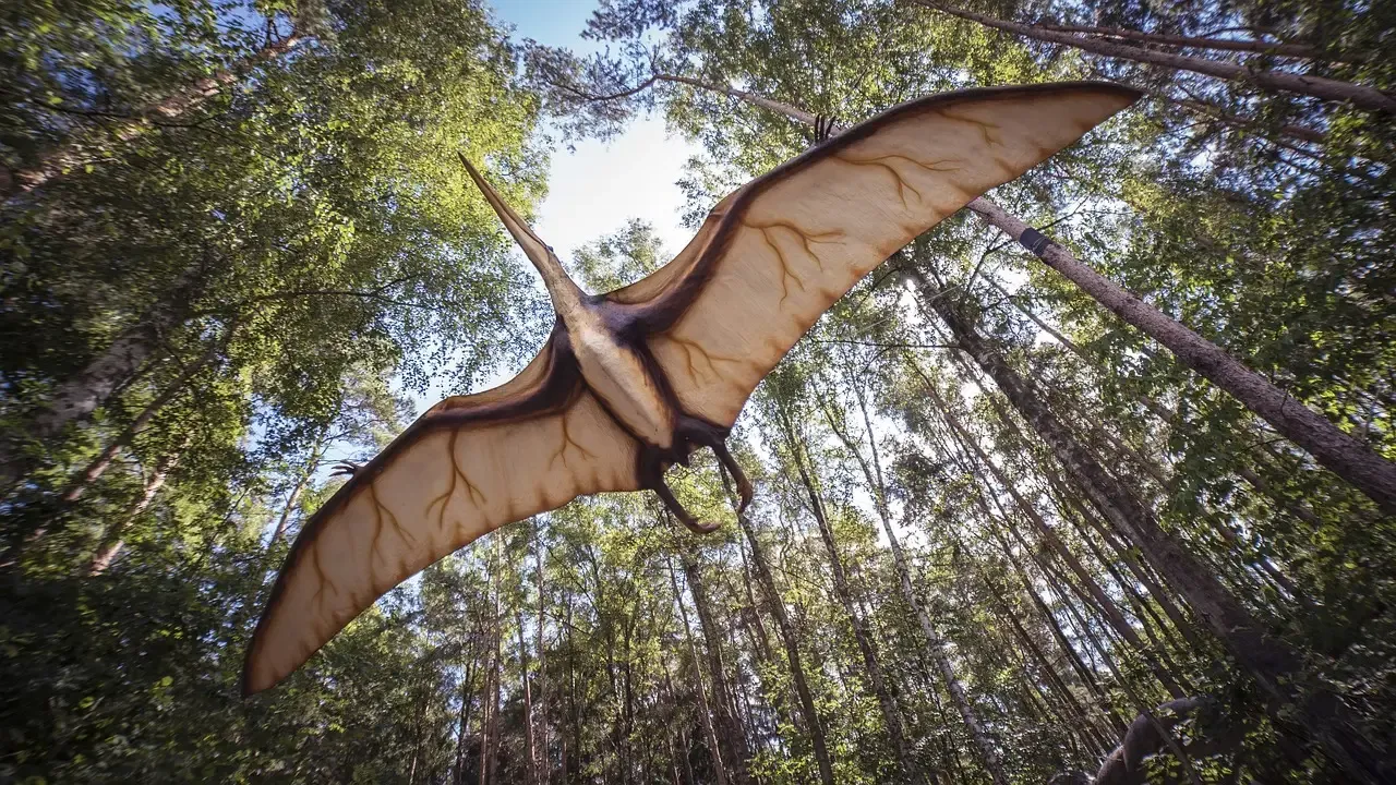 Pterosaurs: Not Just Flying Lizards, but High-Performance, Fluffy, and Sometimes Giant Aviators (Image Credits: Pixabay)