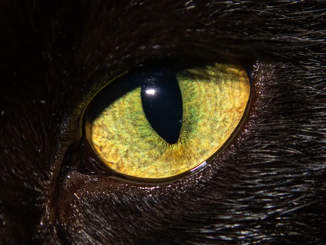 1. From Chemistry to Light: The First Eyespots (Image Credits: Unsplash)
