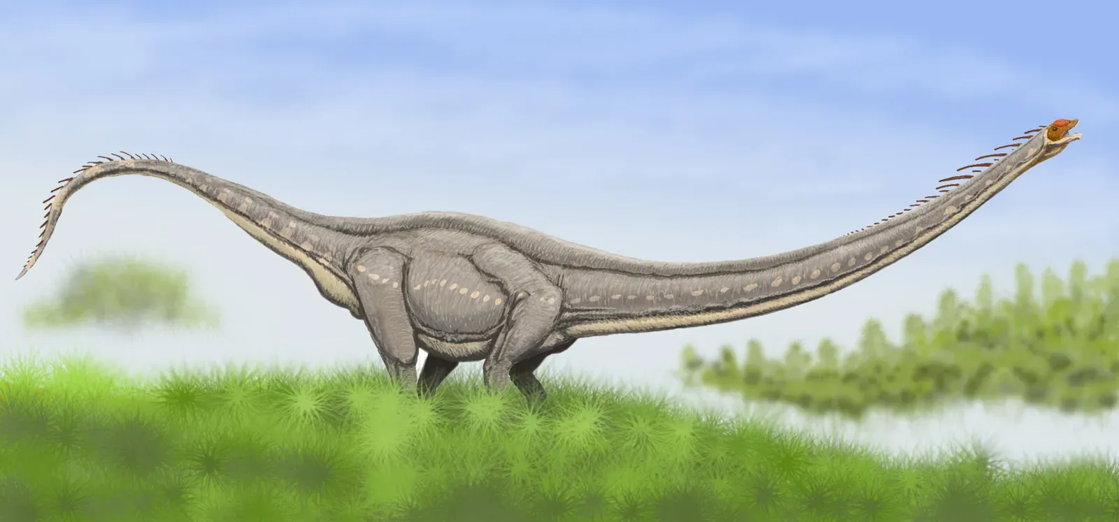Mamenchisaurus sinocanadorum and relatives: Masters of the ultra‑long neck (Transferred from ru.wikipedia to Commons., CC BY-SA 3.0)
