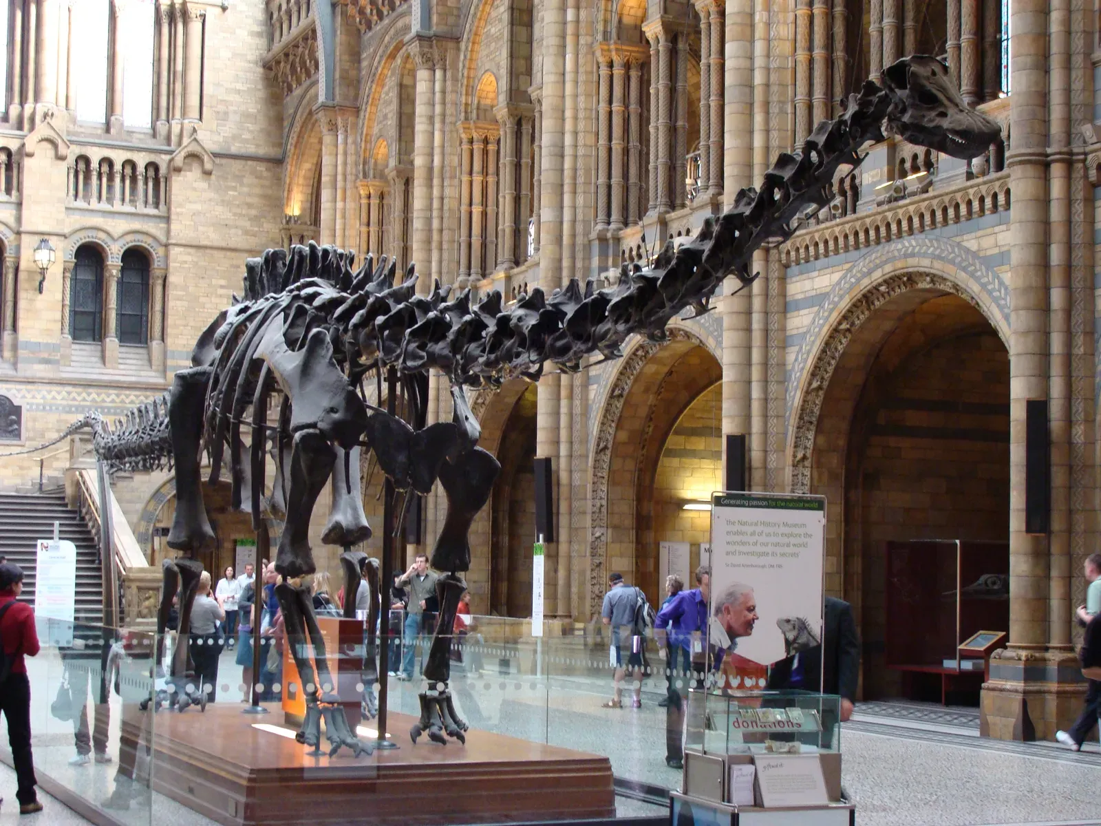 The London Diplodocus With a Swan‑Neck It Never Had (By Fernando Losada Rodríguez, CC BY-SA 4.0)