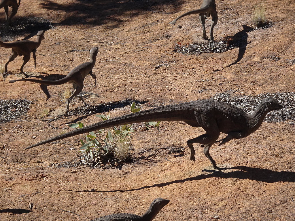 Gemini: The Social Pack Hunter (Image Credits: Flickr)