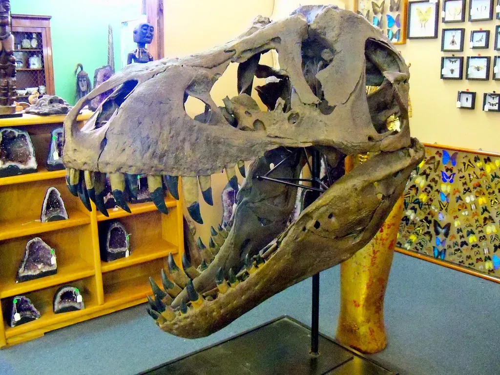 Why You Owe Your Existence to Both Winners and Losers (Chic Bee, Flickr, CC BY 2.0)