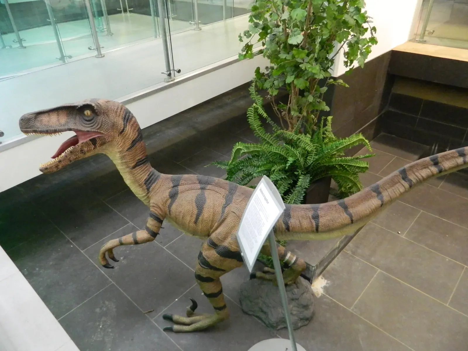 2. Naked, Scaly Raptors: Where Are All the Feathers? (By Bazonka, CC BY-SA 3.0)