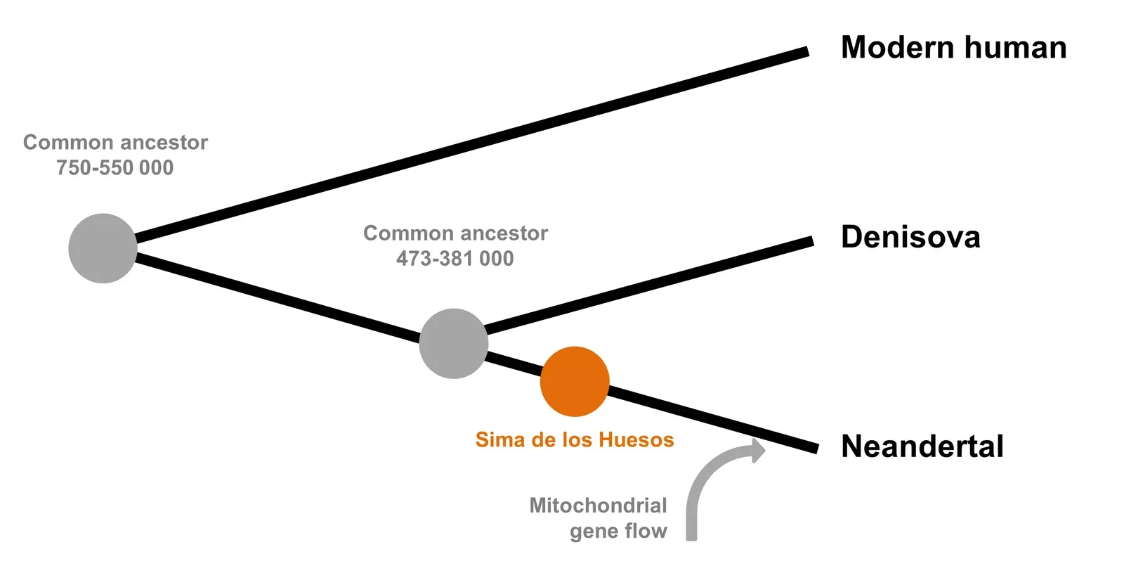 The Bottom Line (Own work (using info from https://doi.org/10.1038/nature17405), Public domain)