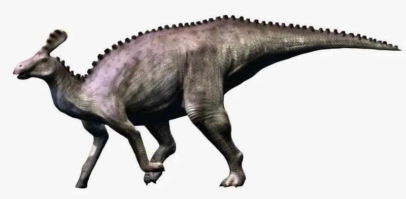 Tsintaosaurus (By Nobu Tamura, CC BY-SA 3.0)