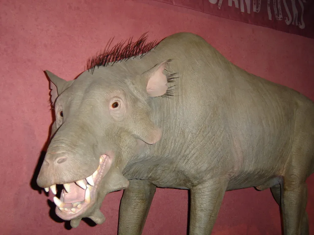 Archaeotherium: The Hell Pig That Hunted Rhinos (Image Credits: Flickr)