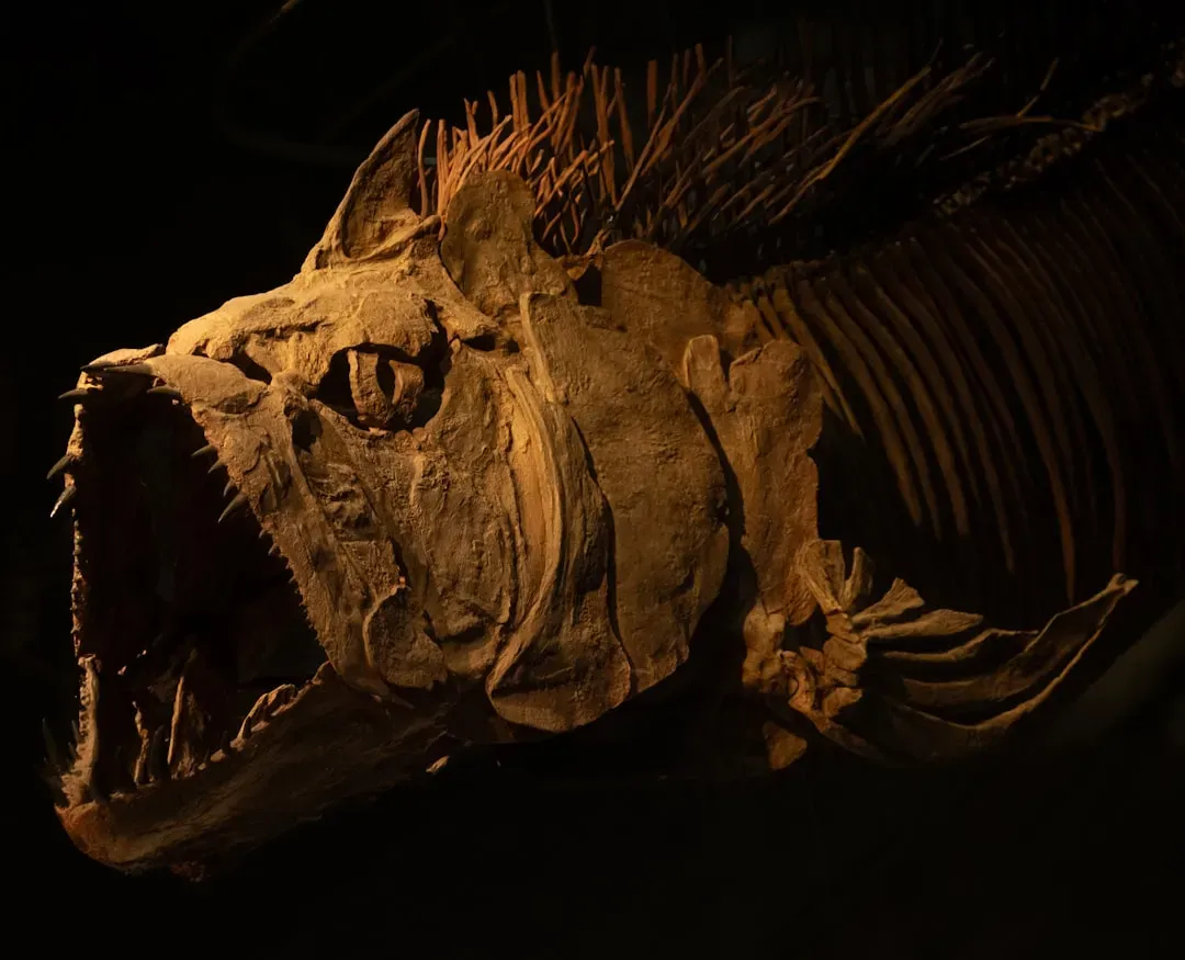 Conclusion (Image Credits: Unsplash)