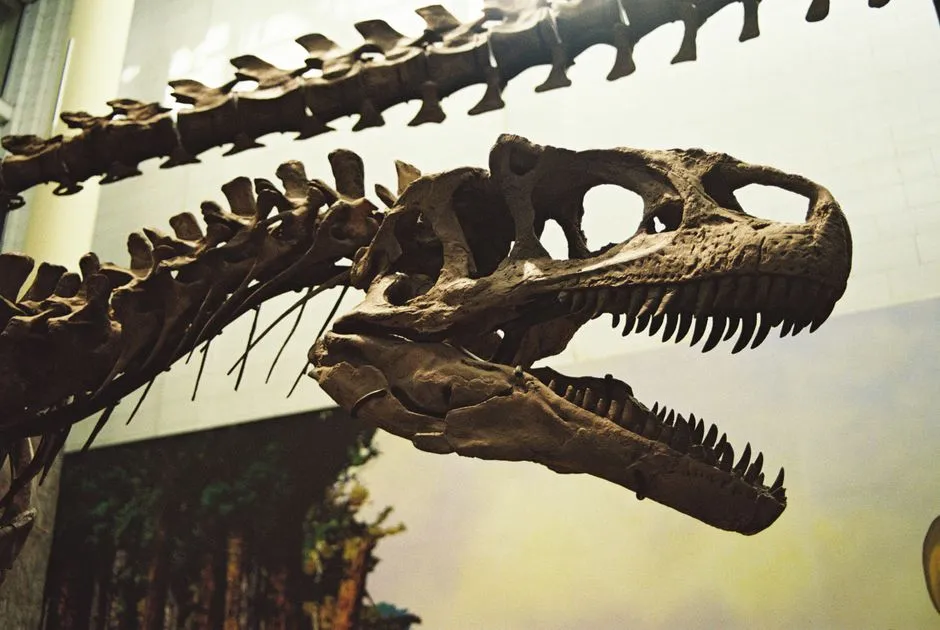 The Science Behind the Spectacle: How Researchers Would Shape the Film (Image Credits: Pexels)