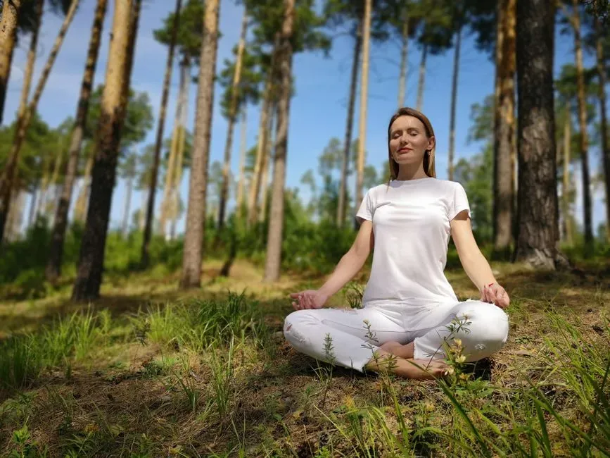Conclusion: Choosing Ancient Calm In A Noisy Age (Image Credits: Pexels)