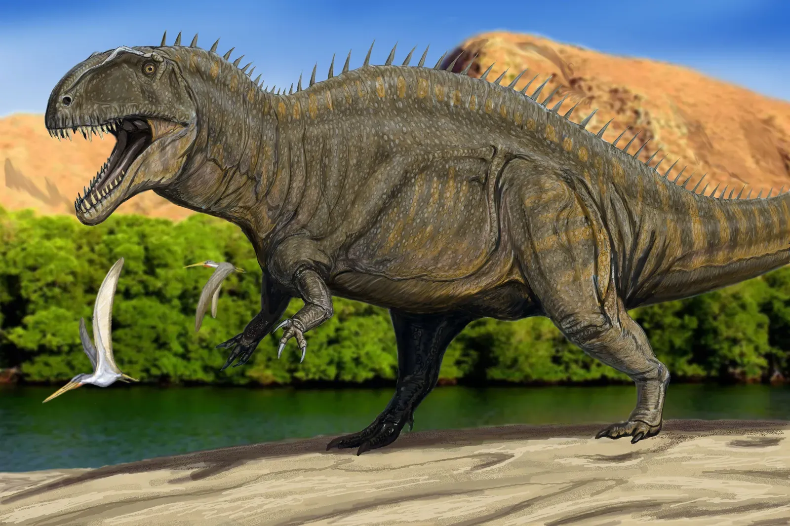 #3 - Acrocanthosaurus: The Ridge-Backed Killer Before T. Rex (By DiBgd, CC BY-SA 4.0)
