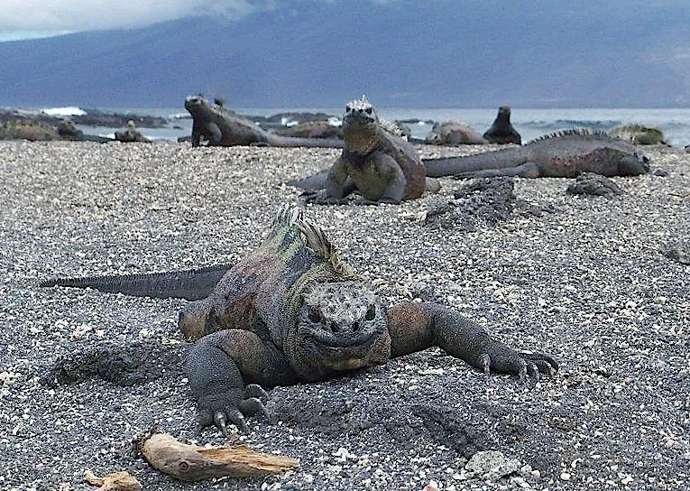 Conclusion (Image Credits: Flickr)