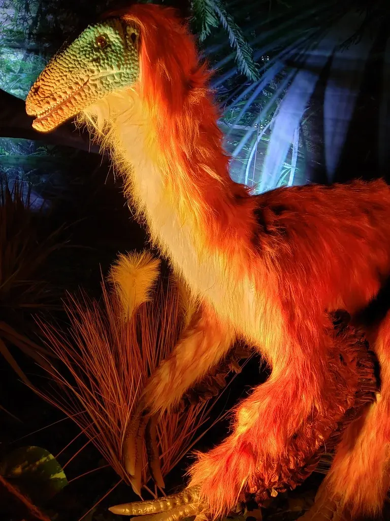 Feathers: They Were Never Just for Flying (quinn.anya, Flickr, CC BY-SA 2.0)