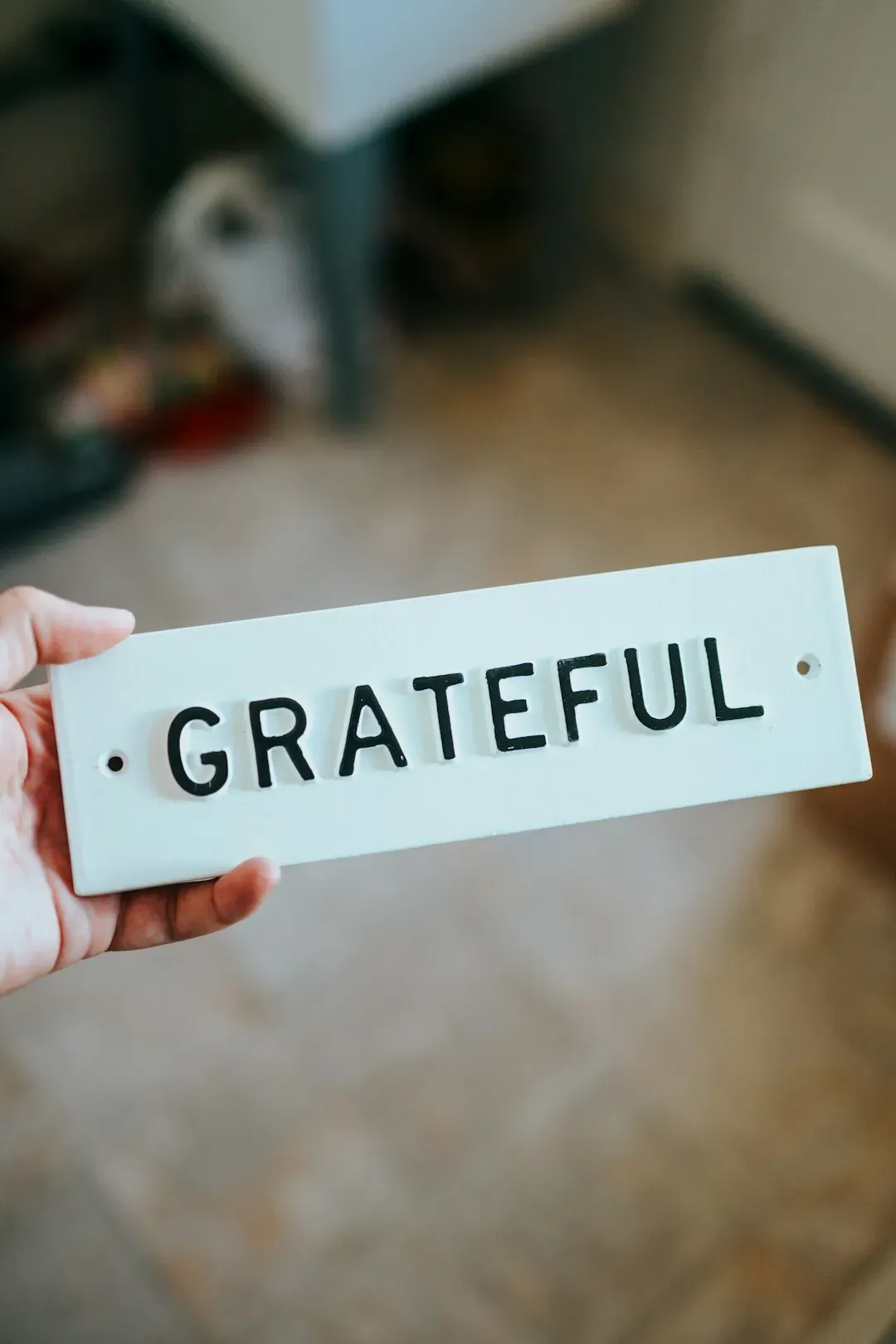 You Feel Gratitude for Both the Good and the Bad (Image Credits: Unsplash)