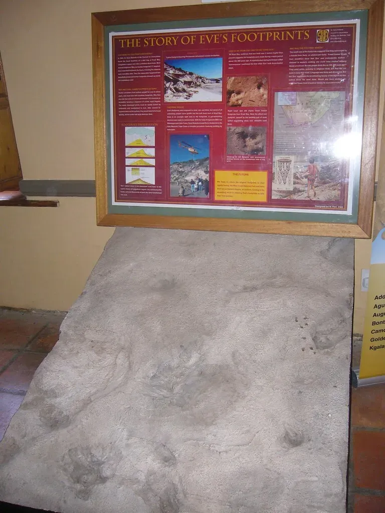 Eve's Footprint, South Africa: The Oldest Anatomically Modern Human Track (philrickerby, Flickr, CC BY-SA 2.0)