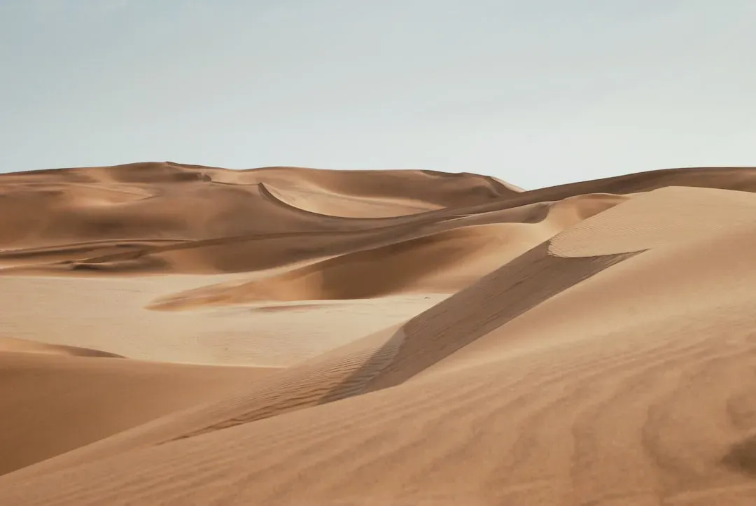 #3 - The Distance a Dune Has Traveled Tells You How Much Wind Energy It Absorbed (Image Credits: Unsplash)